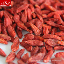 Bayas de Goji orgánicas rojas al por mayor de Ningxia